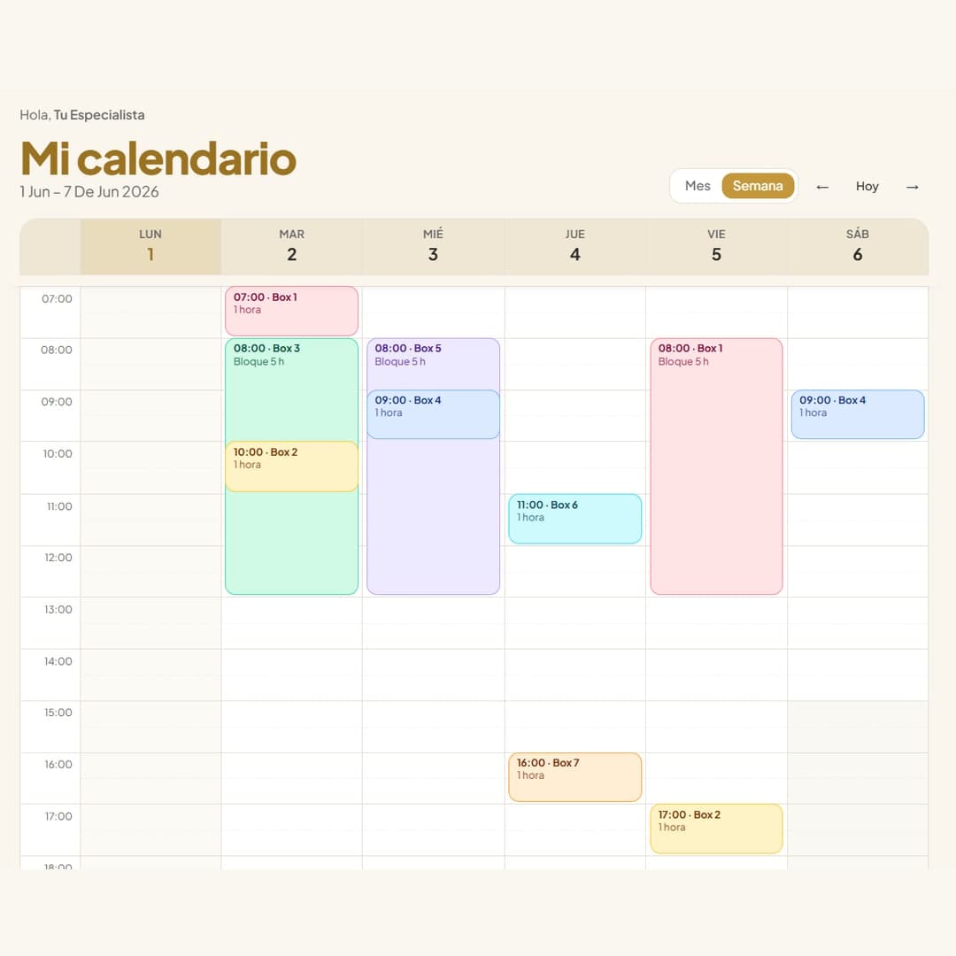 Organiza tu semana